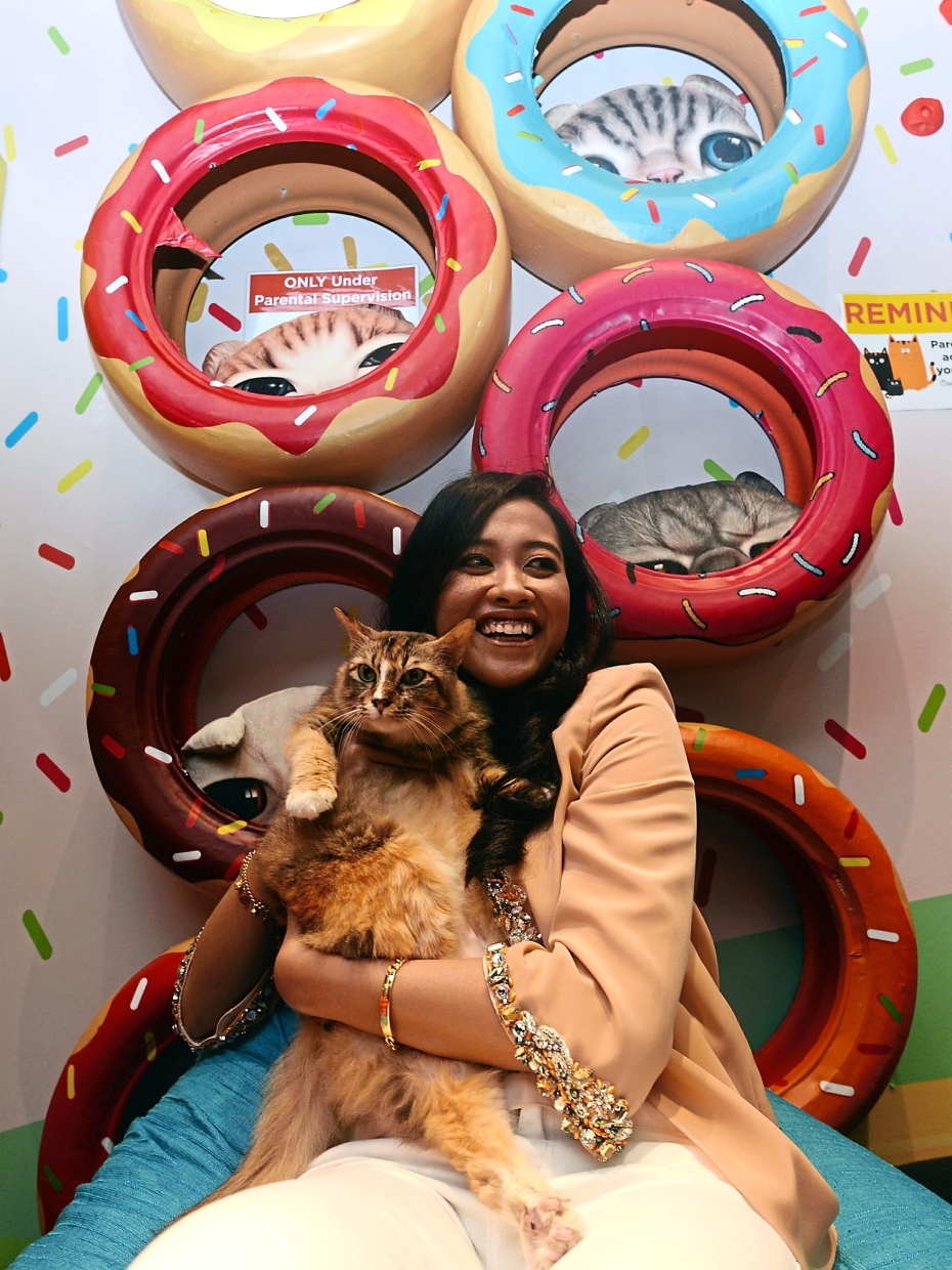 Tengku Munazirah with one of the cats at the playground. —Photos: S.S. KANESAN/The Star
