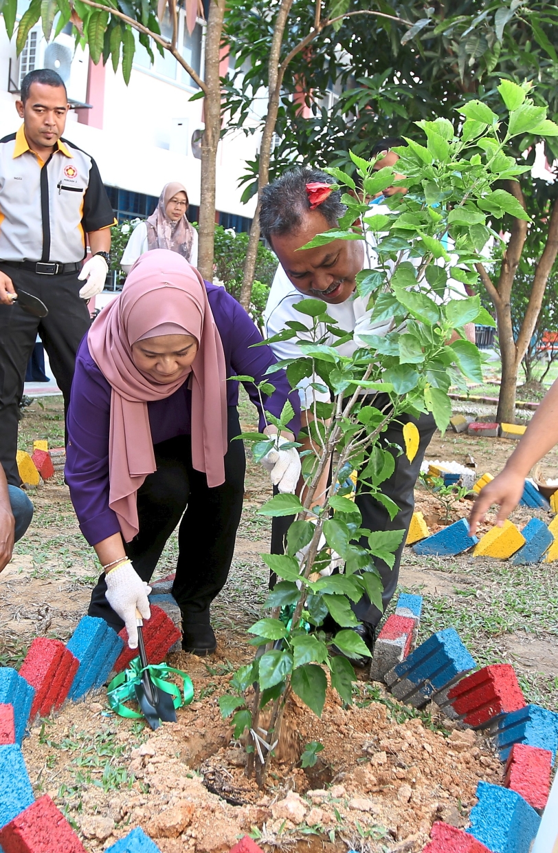 Greening schools one tree at a time | The Star