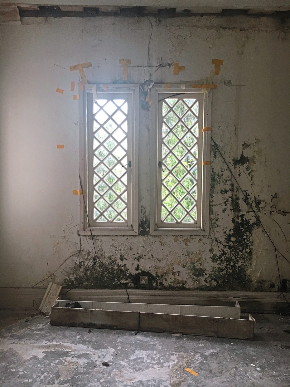 A significant amount of mould at one of the rooms in Carcosa