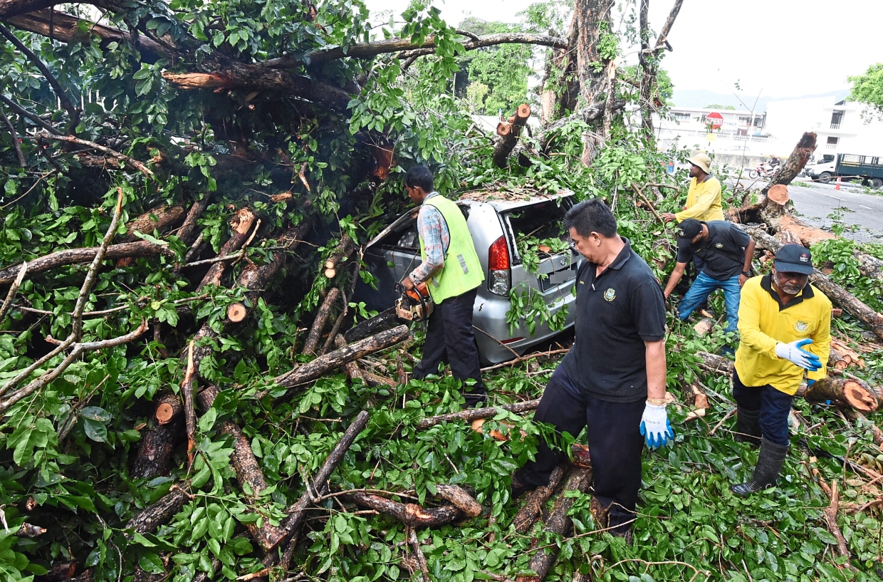 MBPP workers clearing a fallen tree that damaged a few cars in Jalan Han Chiang, George Town.