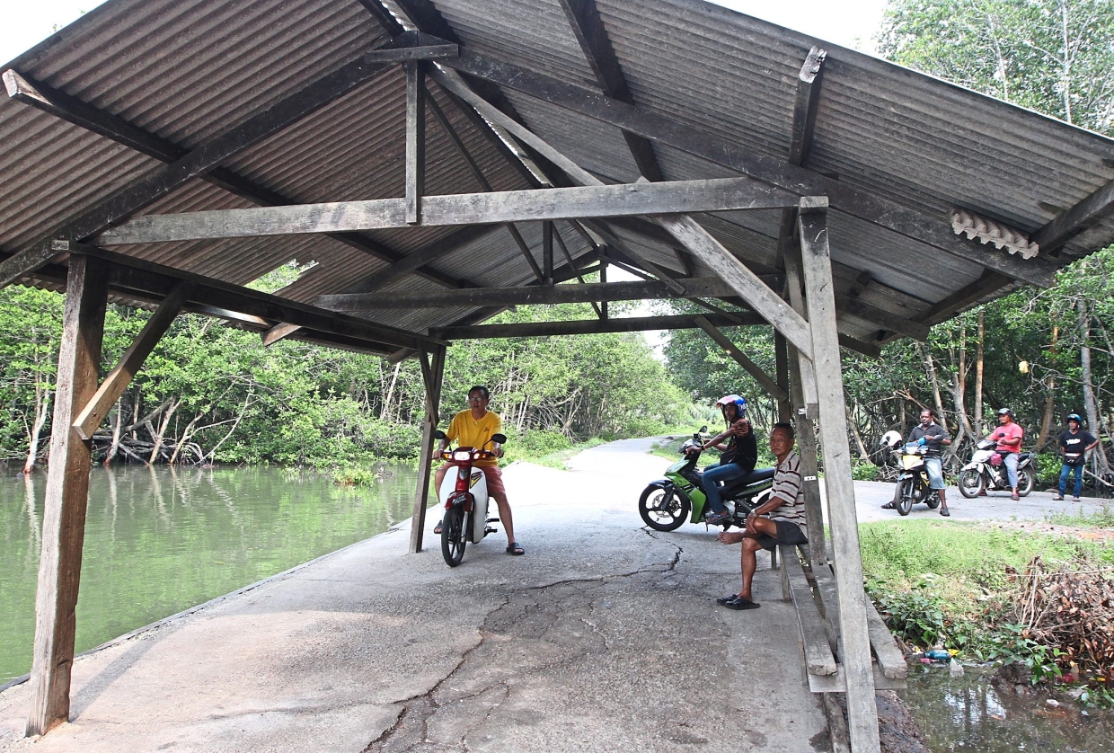 Environmentalists say it is better to improve the ferry service and its infrastructure than clear the mangrove forest nearby.