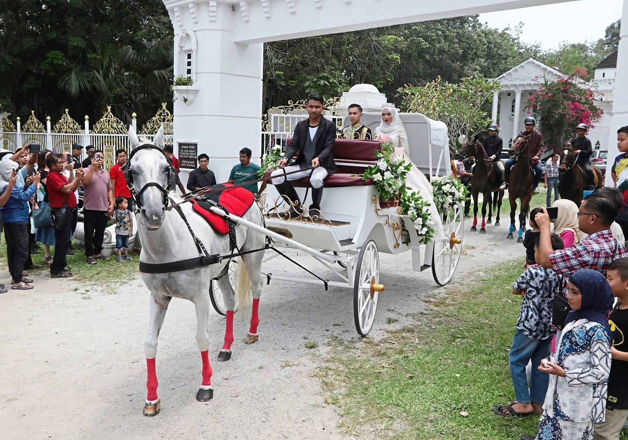 Pengantin naik kereta kuda