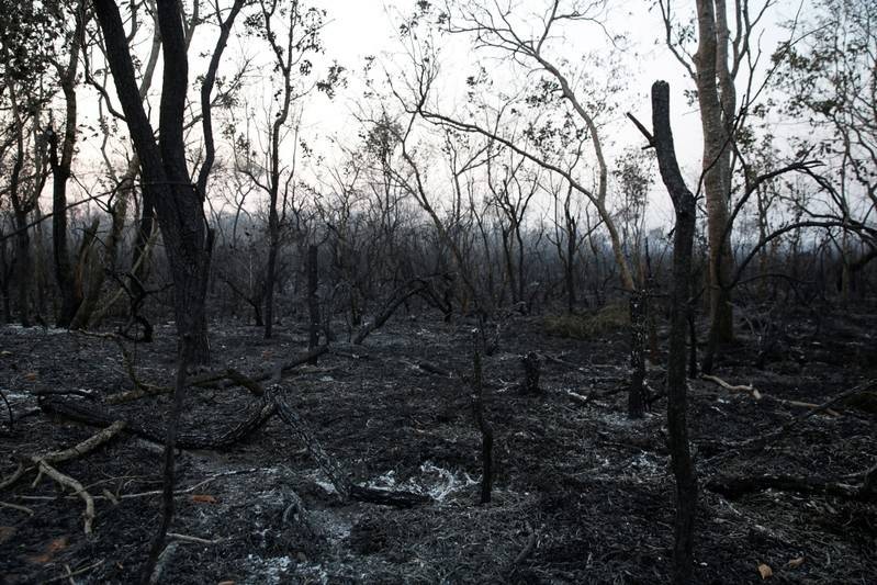As Bolivian Forests Burn Evo S Bet On Big Farming Comes Under Fire The Star