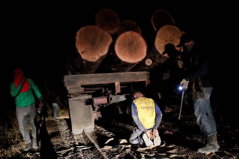 Fighting fire with fire, Amazon 'forest guardians' stalk illegal ...