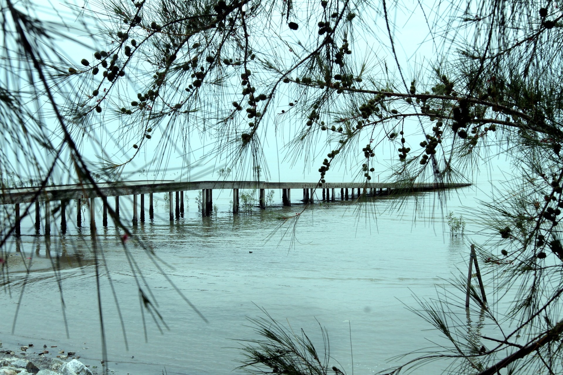Batu Laut sailing training centre located at Kampung Batu Laut is one of the known location for yatch sailors to attend trainings at Selangor. K.K.SHAM / The Star
