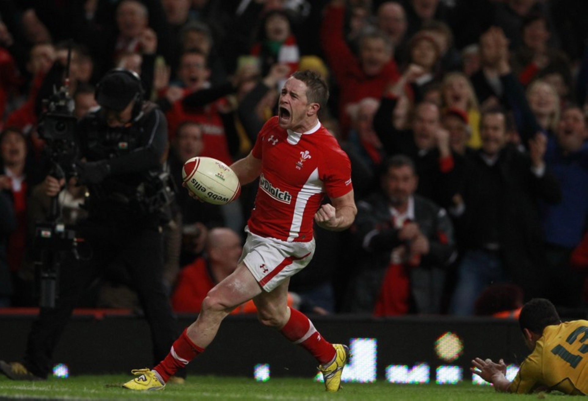 Rugby Williams World Cup return of rugby's smaller men The Star