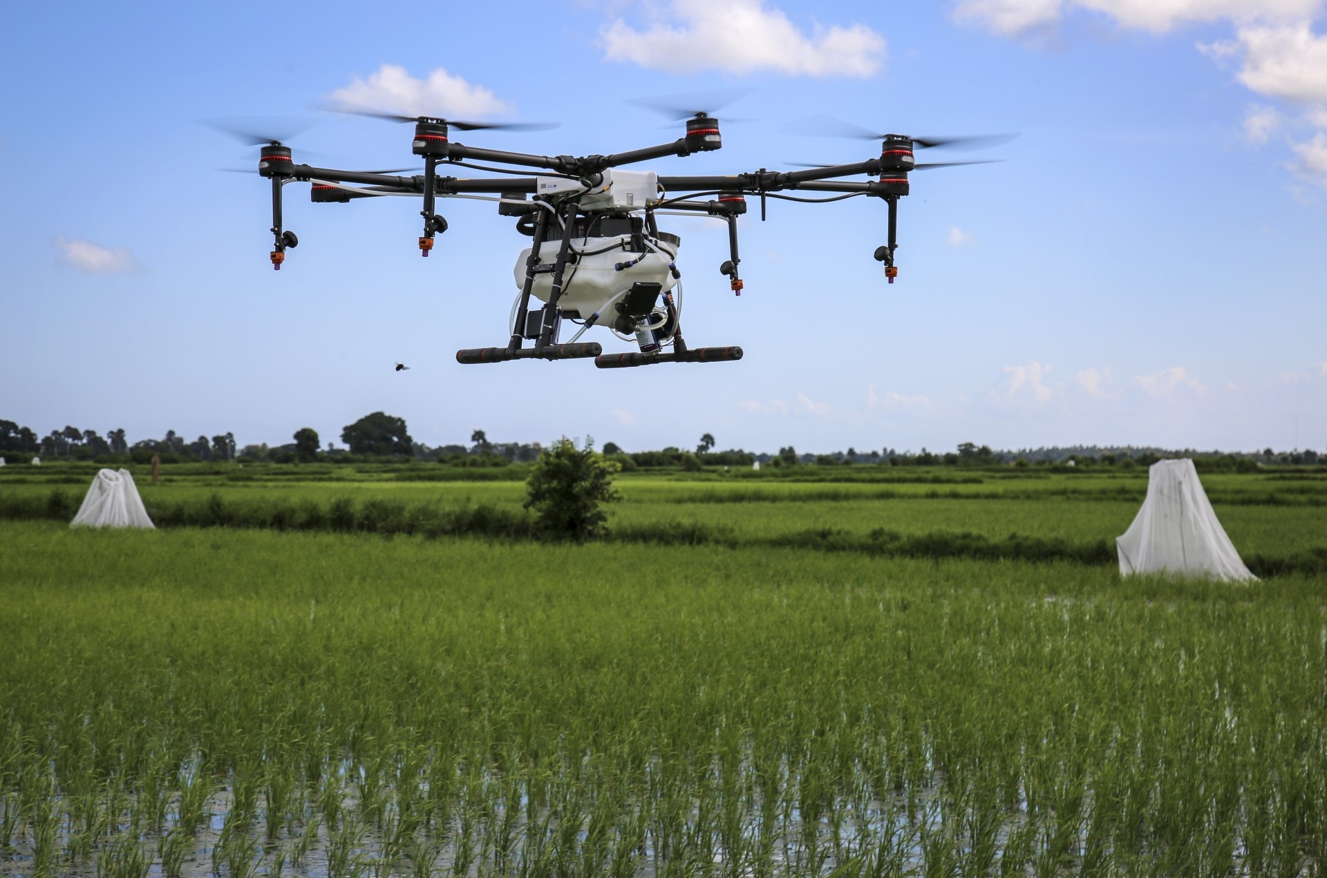 A drone spraying the breeding grounds of malaria-carrying mosquitoes is tested at Cheju paddy farms in the southern Cheju region of the island of Zanzibar, Tanzania.