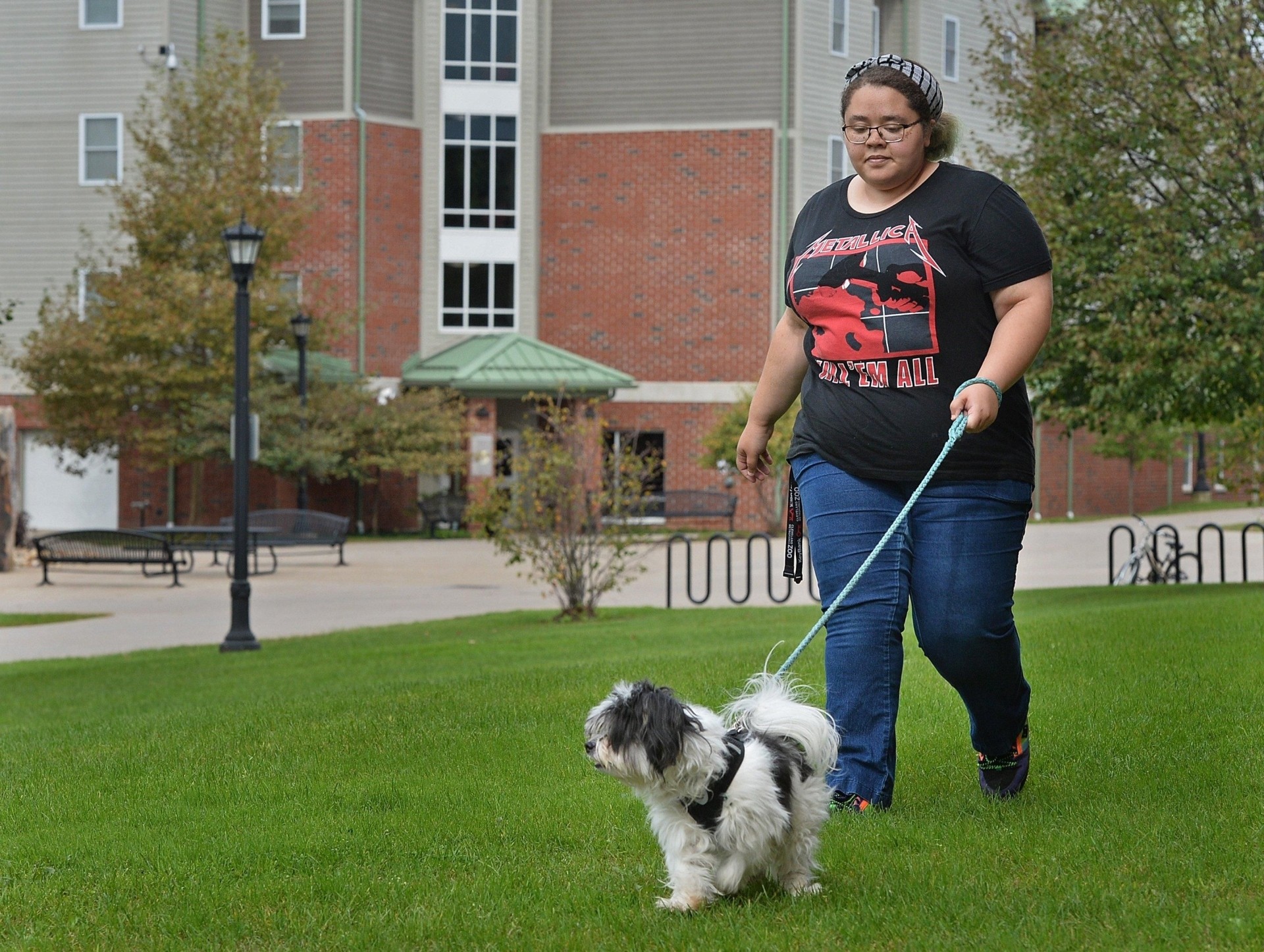 Animals at this petfriendly campus in US The Star