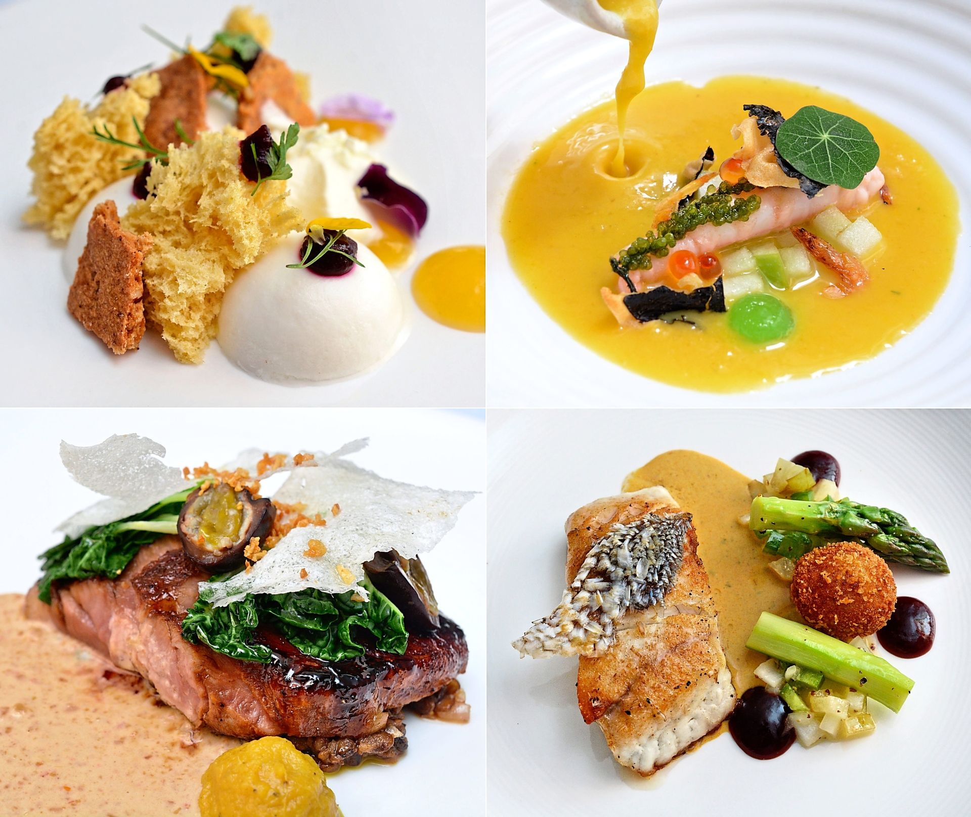 (Clockwise from top left) Balik Pulau Goat Milk ‘Tofu’, Fresh Caught Tugela Prawn, Line Caught Grouper with Crispy Scales and Coffee-glazed Iberico Pork Collar are among the delicious items featured in the Degustation Menu. — Photo: Jeremy Tan/The Star