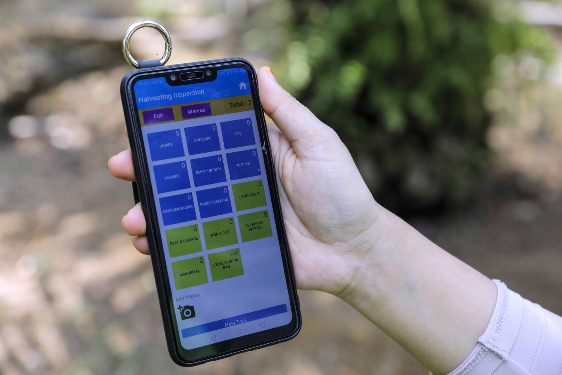 A plantation worker holding up a mobile phone displaying harvesting inspection data at the Genting Tanah Merah Estate.