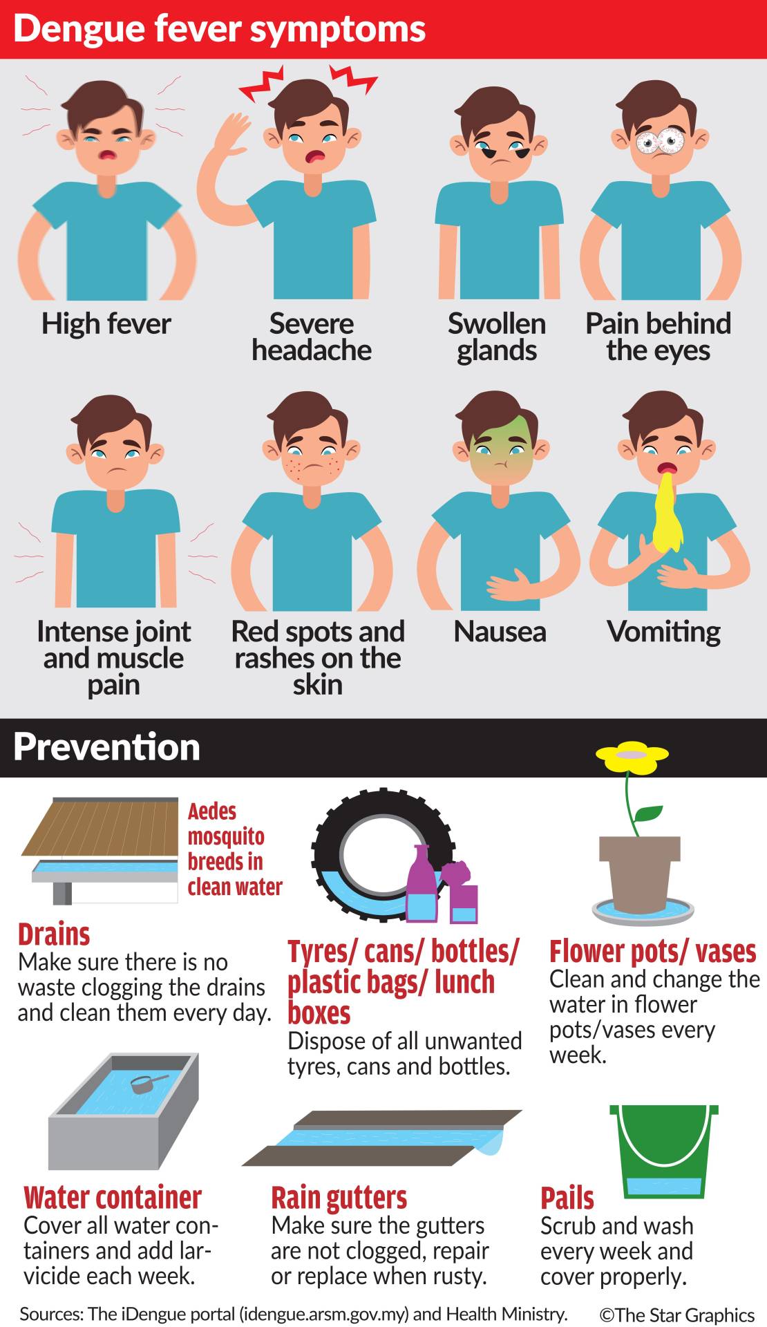 Number Of Dengue Cases Set To Hit All Time High The Star