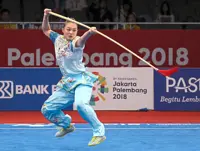 Two world champions bow out of wushu