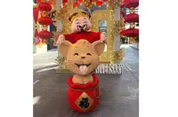 ‘Golden mouse’ goes missing