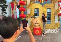 ‘Missing’ golden mouse returned to hotel