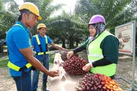 Commanding respect in plantations