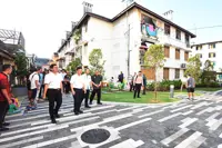 Back lanes to the fore