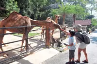 Optimal time to revamp tourism industry