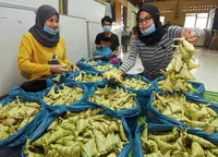 Family sticks to 40-year-old traditional ketupat recipe