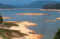 Logging at Ulu Muda Forest Reserve back in focus