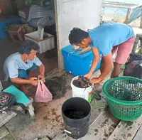 Fishermen left in a bind