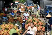 Vietnam's ratification of EVFTA makes international headlines