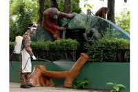 Zoos need thorough clean-up during recovery MCO, says vet