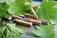 Mammoth ivory or wood? How to pick a pocket knife for life
