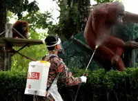 Are Malaysian zoos saviours of nature or exploiters of animals?