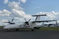 With no tourists to watch migration, Kenyan operator's planes are grounded