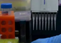 Pig farms in the country test negative for new swine flu strain that may trigger next pandemic