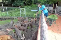 Johor attractions draw crowd