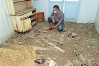 Pigeons take over abandoned homes