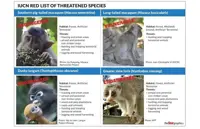 Malaysia’s primate species in peril