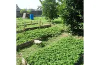 Public help essential for clean waterways