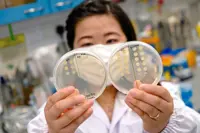 This peptide can help kill antibiotic-resistant bacteria