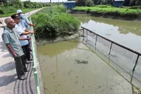 Fishermen cry foul over ‘black’ river