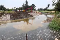 Proposal to close pig farms until non-polluting measures taken