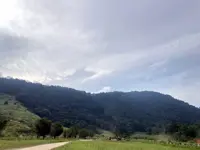 NGO urges public to object against proposed cemetery in Kampar forest area