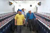 RM200,000 to repair generators in Pulau Kapas