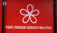 Bersatu appoints supreme council members, forms committee to amend constitution
