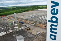 Want cheaper beer? Save a tree