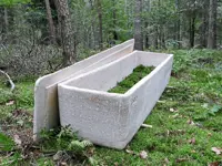 Mushroom coffins turn corpses into compost