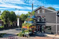 Vertical garden experiment measures impact of city pollution on horticulture