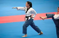 Online competition a welcome relief for poomsae exponents