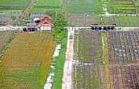 Budget 2021: Rural Development Ministry welcomes increased allocation of RM10.19bil