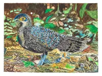 Another feather in artist’s cap