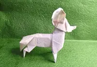 Cultural exchange on art of origami