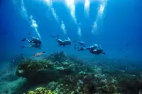 Sabah-based dive operator Scuba Junkie wins global diving award