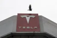 Ex-Tesla factory worker to pay US$400,000 to end feud with Musk