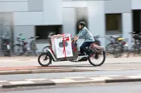 Transport anything with a Long John cargo bike